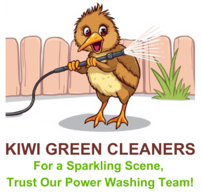 Professional house washing removing mold from weatherboard home in Auckland